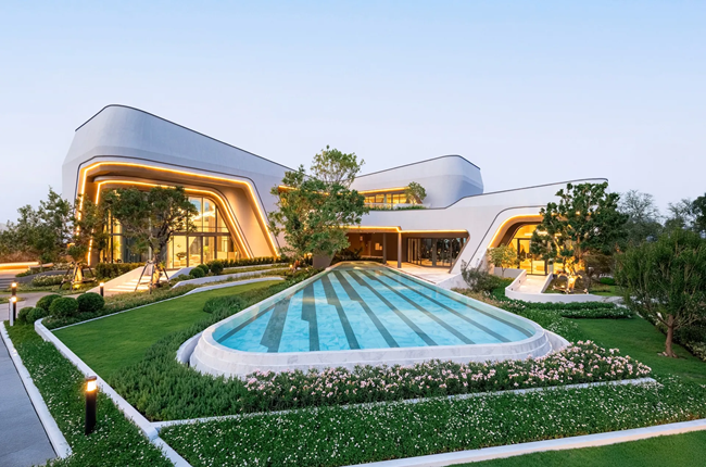 banner-project-details