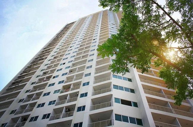 banner-project-details